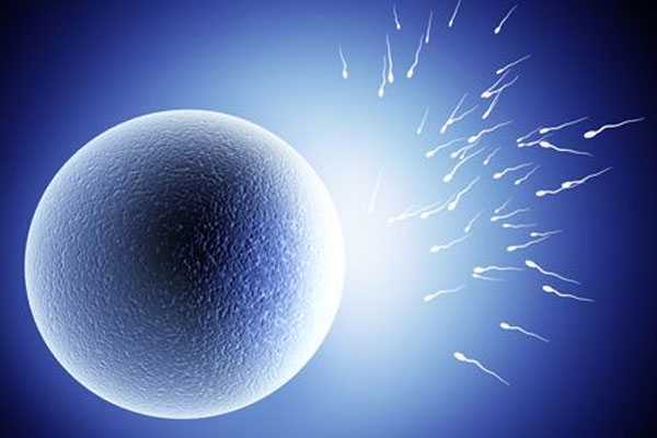 备孕小知识：打了促排卵针多久卵泡会破呢？